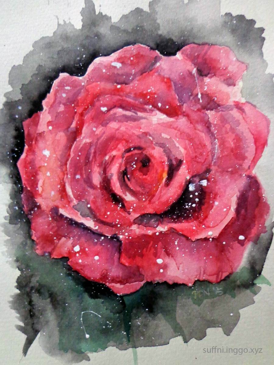 2016 03 rose